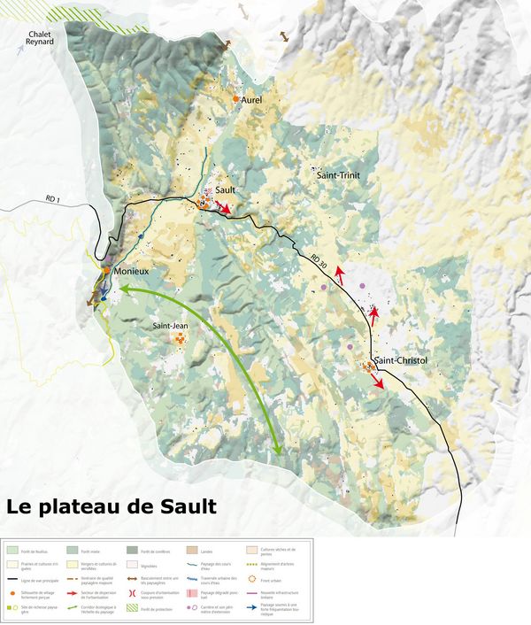 Plateau de Sault - carte des enjeux paysagers (Vaucluse)