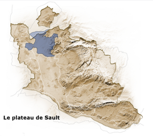 Le Plateau de Sault - Vaucluse