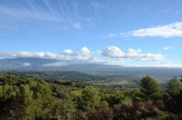 Le Mont Ventoux (vue de Blauvac - Vaucluse)