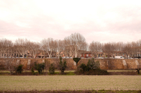 Avenue Jean Jaurès (Carpentras - Vaucluse)