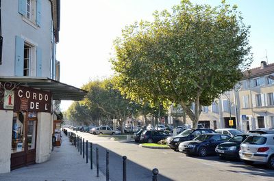 Cours Jean Jaurès (Valréas - Vaucluse)