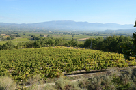 Route de Vinsobre à Valréas (Vaucluse)